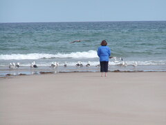 Image file: photo09.jpg