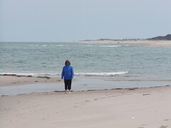 Image file: photo12.jpg