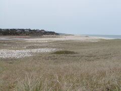 Image file: photo17.jpg