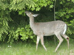 Image file: photo02.jpg