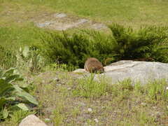 Image file: photo02.jpg