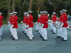 Image file: photo71.jpg