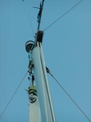 Image file: photo10.jpg