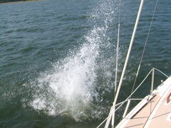 Image file: photo11.jpg