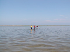 Image file: photo04.jpg