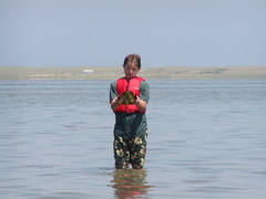 Image file: photo07.jpg