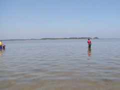 Image file: photo14.jpg