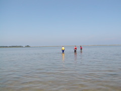 Image file: photo16.jpg