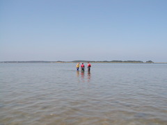 Image file: photo17.jpg