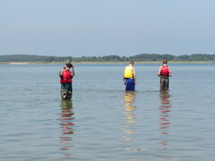 Image file: photo19.jpg