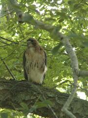 Image file: photo03.jpg