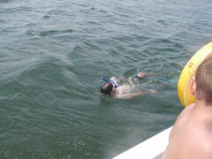 Image file: photo02.jpg