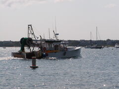 Image file: photo09.jpg