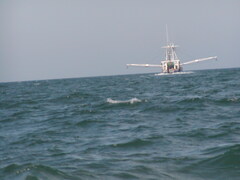 Image file: photo01.jpg