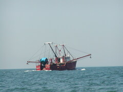 Image file: photo07.jpg