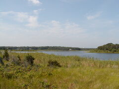 Image file: photo13.jpg