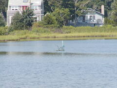 Image file: photo14.jpg