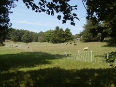 Image file: photo34.jpg