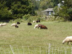 Image file: photo35.jpg