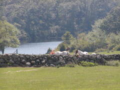 Image file: photo37.jpg