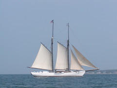 Image file: photo27.jpg