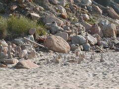 Image file: photo09.jpg