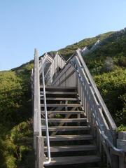 Image file: photo11.jpg