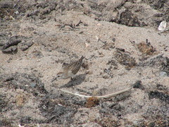 Image file: photo30.jpg