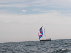 Image file: photo12.jpg