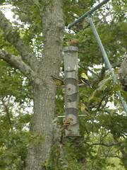 Image file: photo01.jpg