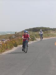 Image file: photo11.jpg