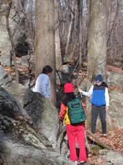 Image file: photo02.jpg