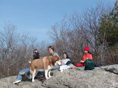 Image file: photo13.jpg