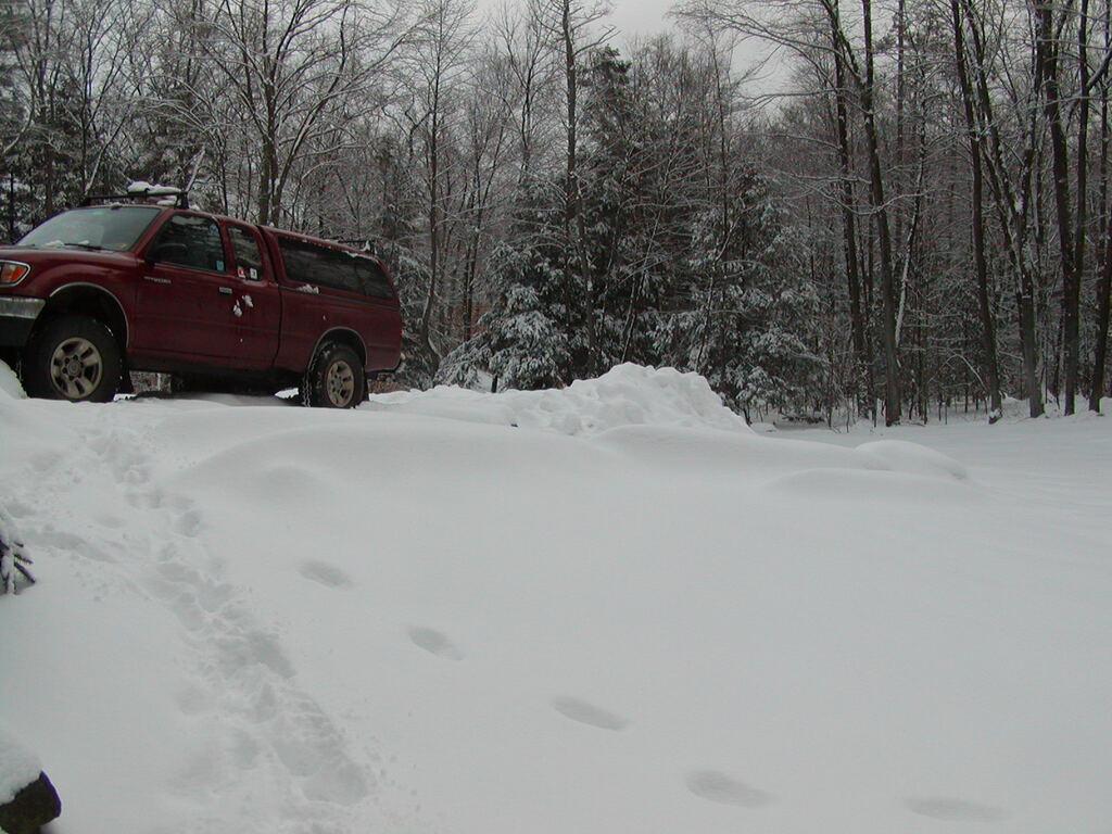 No description provided for: /2003/01-03/0106-driveway/photo03.html