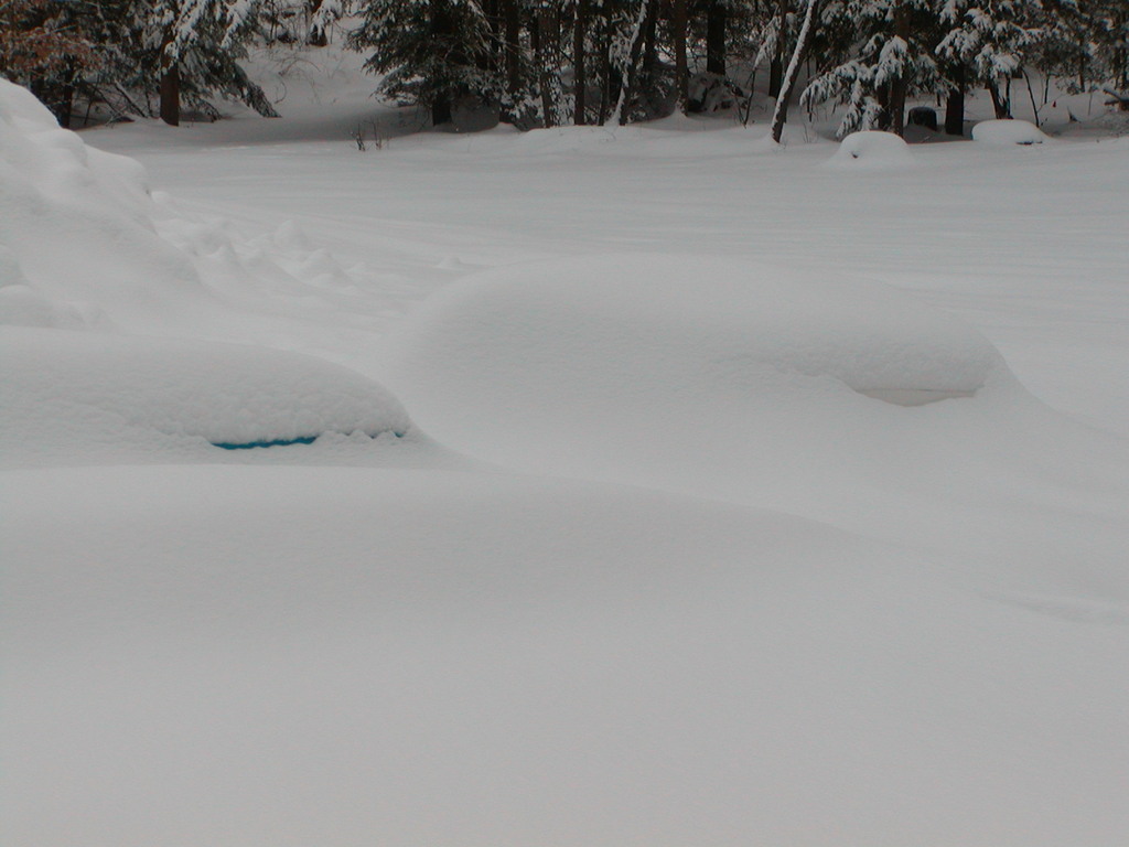 No description provided for: /2003/01-03/0106-driveway/photo04.html