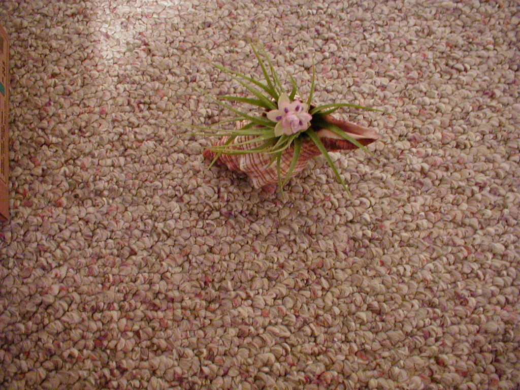 No description provided for: /2003/01-03/0116-megan-bday/photo03.html