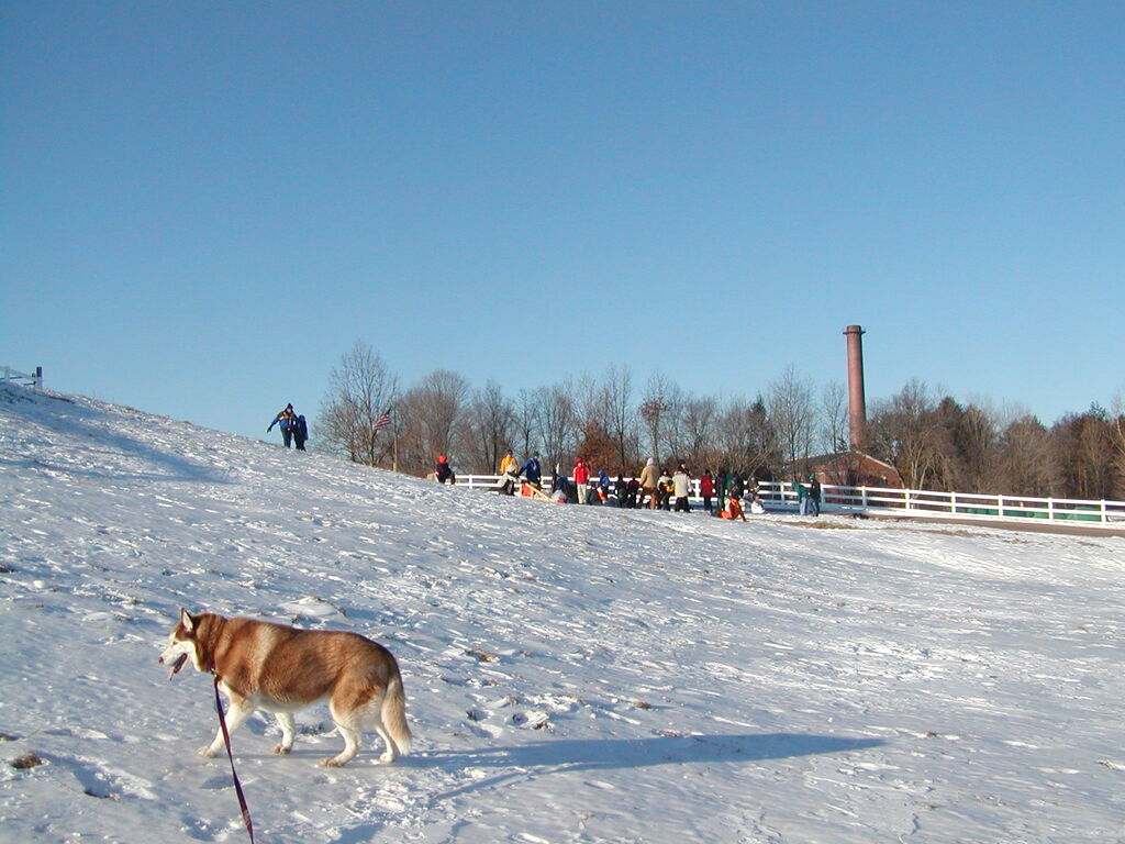 No description provided for: /2003/01-03/0118-klondike/_1/photo10.html