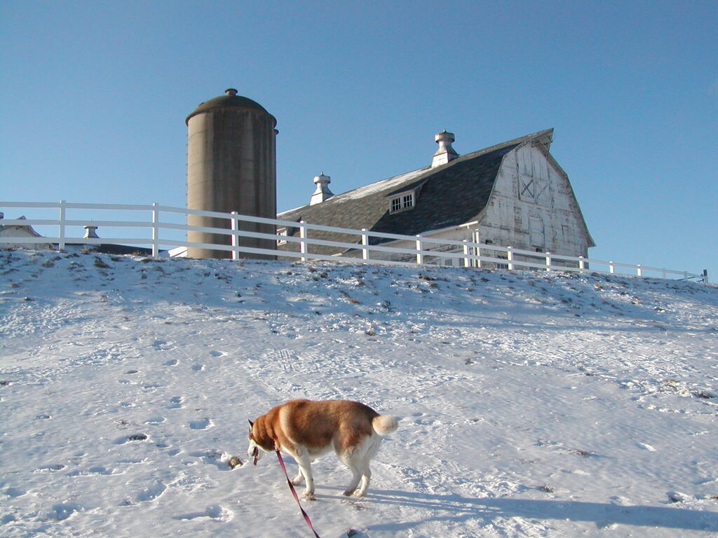 No description provided for: /2003/01-03/0118-klondike/_1/photo11.html