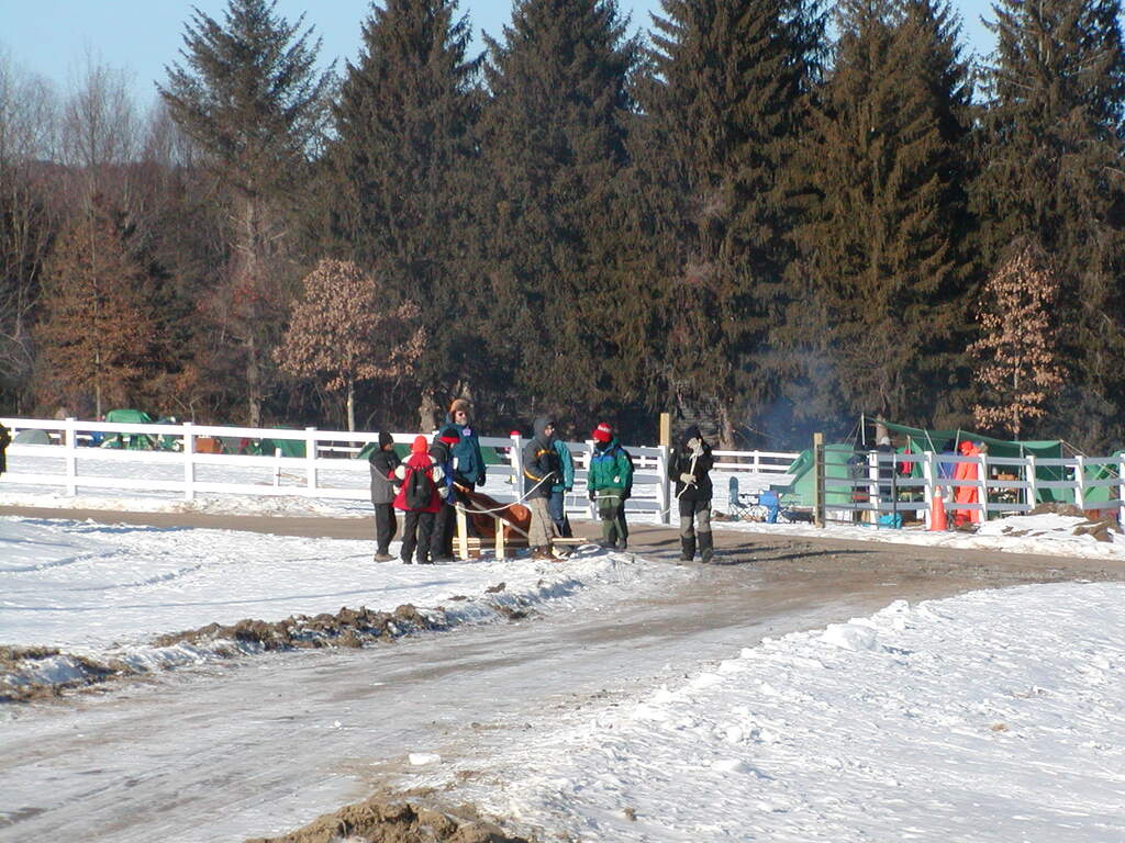 No description provided for: /2003/01-03/0118-klondike/_2/photo41.html