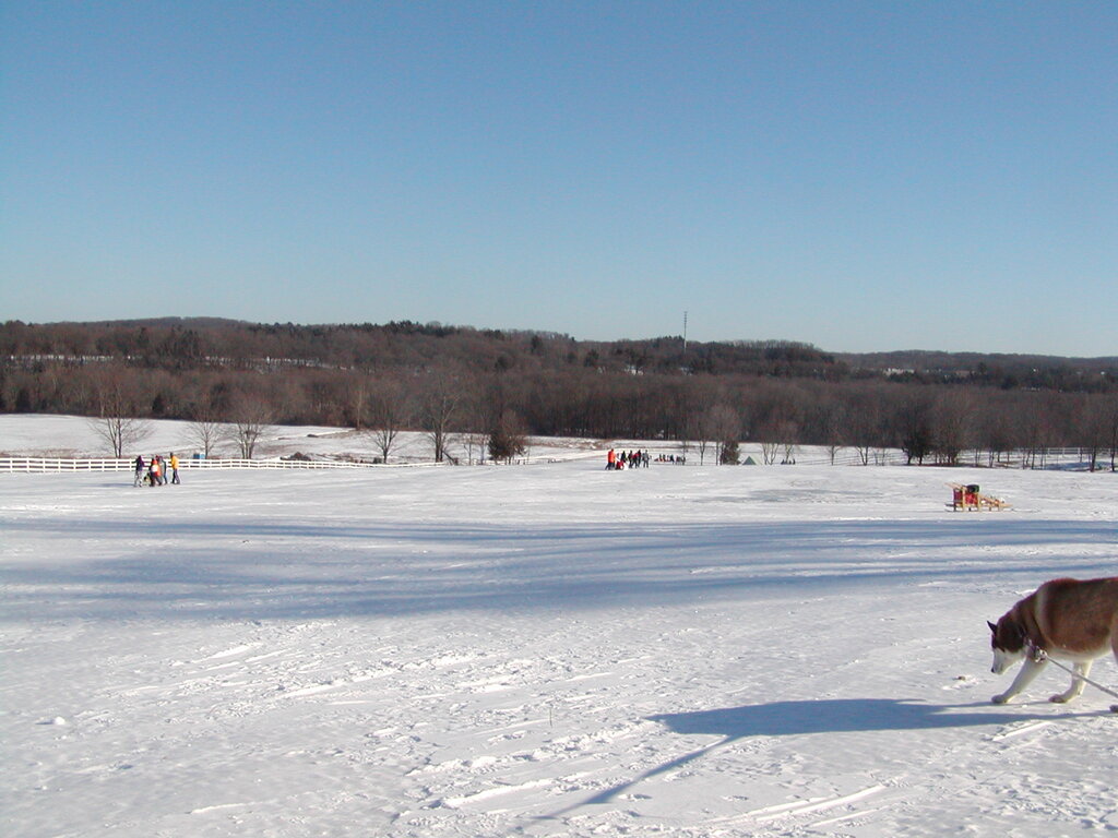 No description provided for: /2003/01-03/0118-klondike/_3/photo58.html