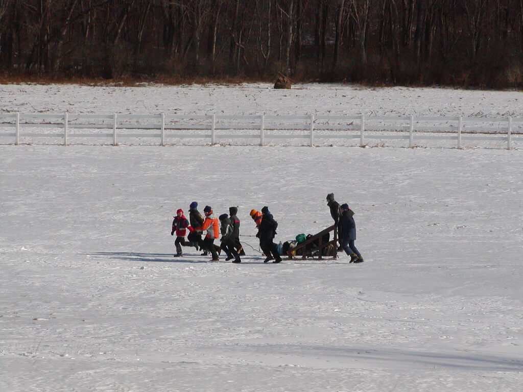 No description provided for: /2003/01-03/0118-klondike/_3/photo69.html