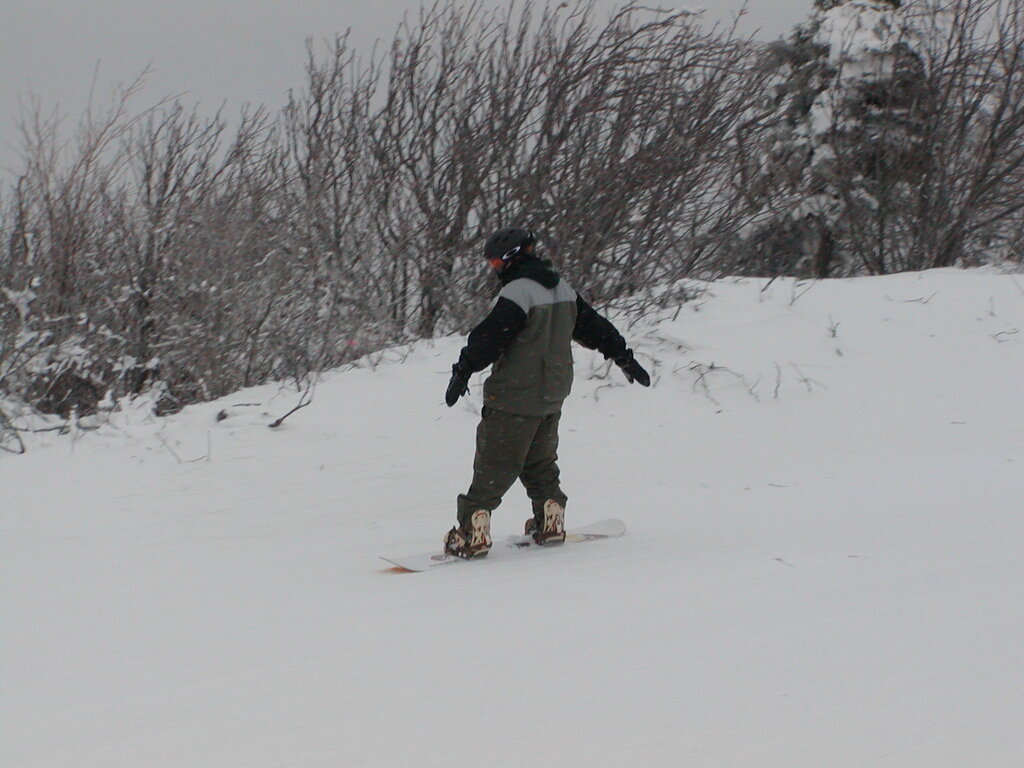 No description provided for: /2003/01-03/0126-bsa-ski/photo03.html