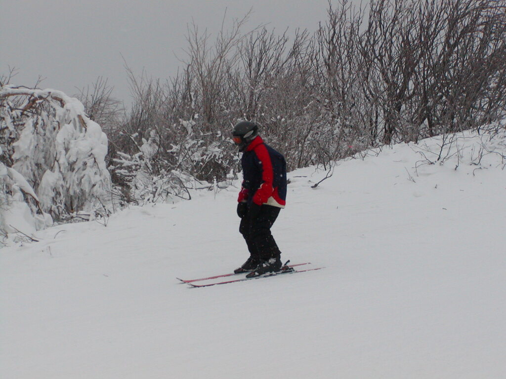 No description provided for: /2003/01-03/0126-bsa-ski/photo04.html