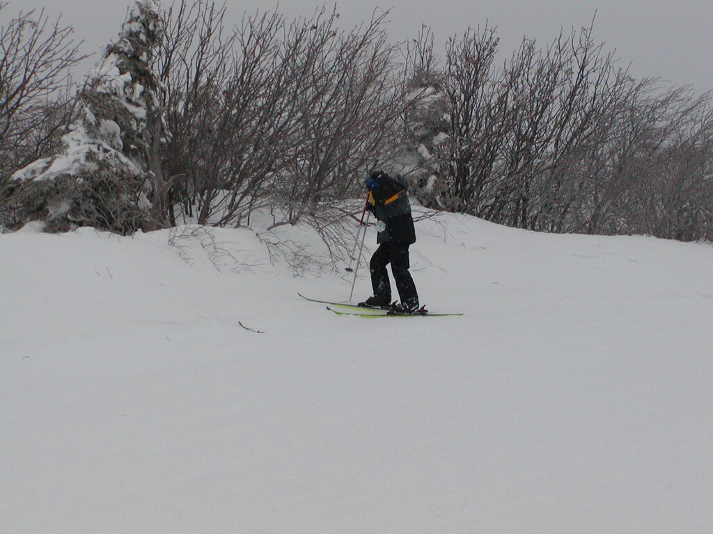 No description provided for: /2003/01-03/0126-bsa-ski/photo07.html