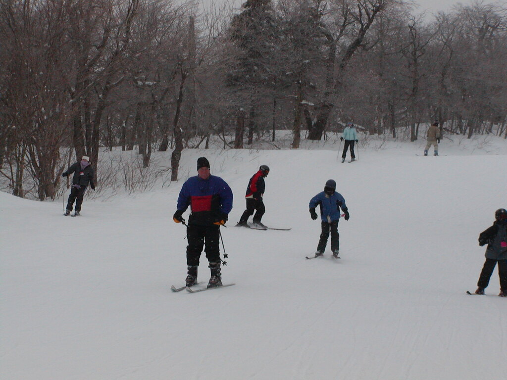 No description provided for: /2003/01-03/0126-bsa-ski/photo08.html