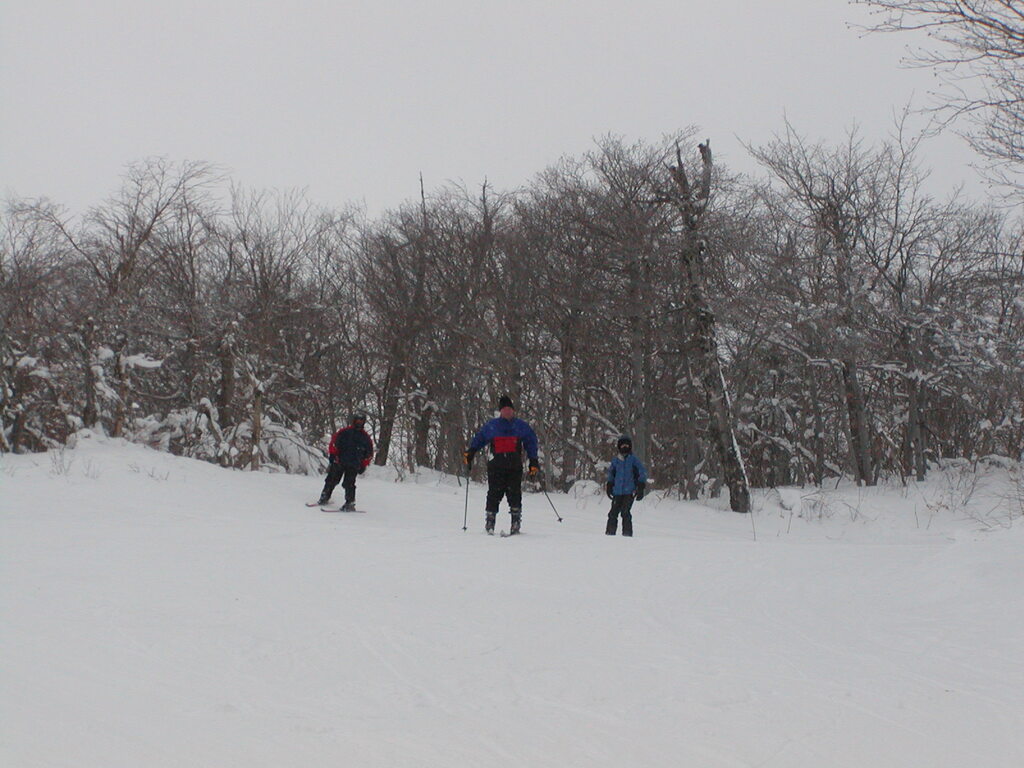 No description provided for: /2003/01-03/0126-bsa-ski/photo09.html