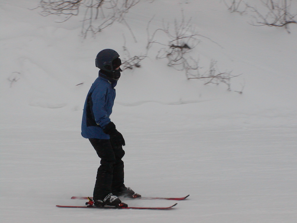 No description provided for: /2003/01-03/0126-bsa-ski/photo11.html