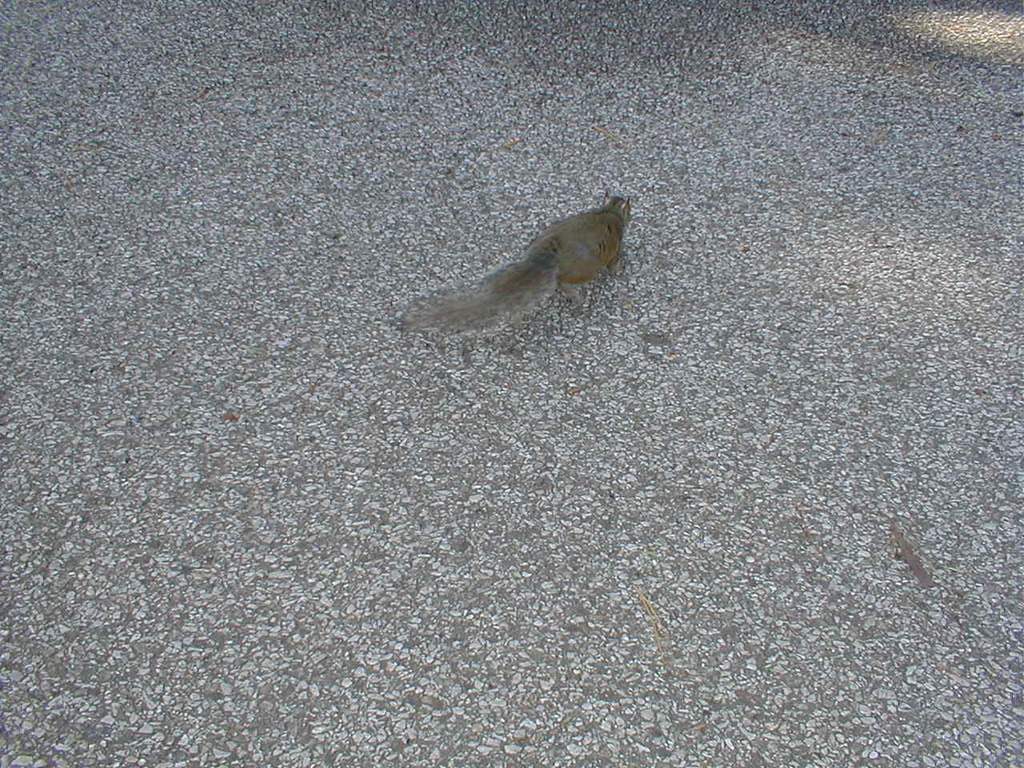 No description provided for: /2003/04-06/0419-san-fransisco/photo08.html