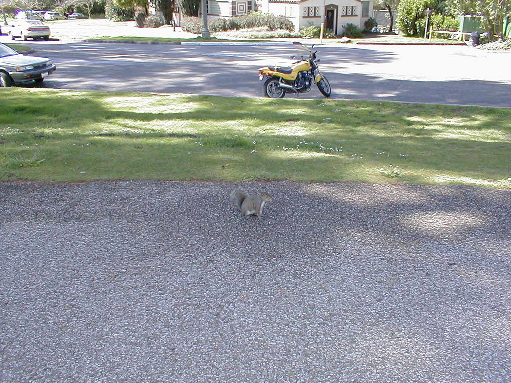 No description provided for: /2003/04-06/0419-san-fransisco/photo09.html