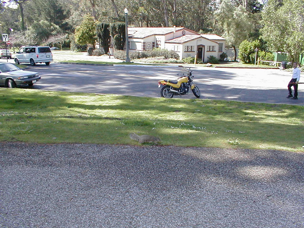 No description provided for: /2003/04-06/0419-san-fransisco/photo10.html